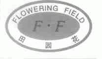 田园花;FLOWERING FIELD