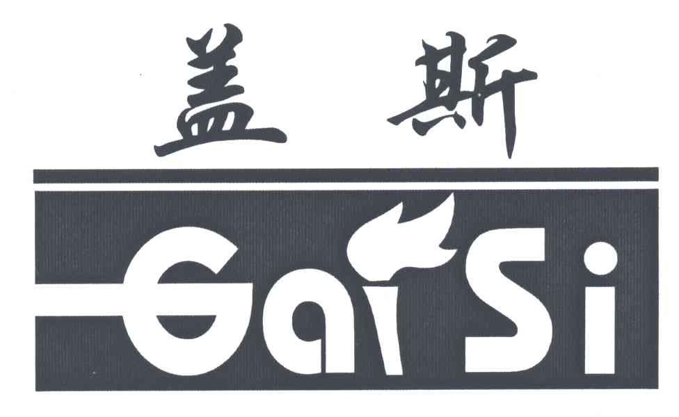 盖斯