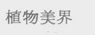 植物美界