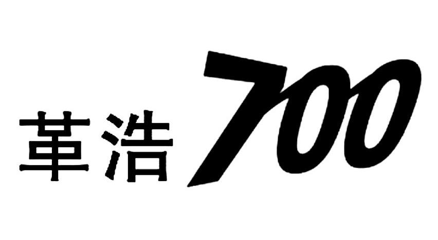 革浩 700