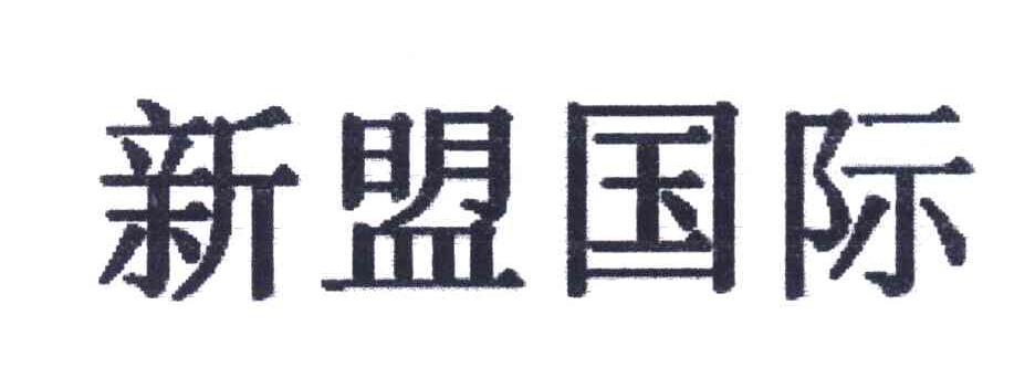 新盟国际
