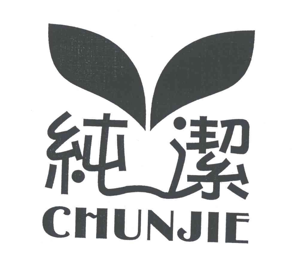 纯洁
