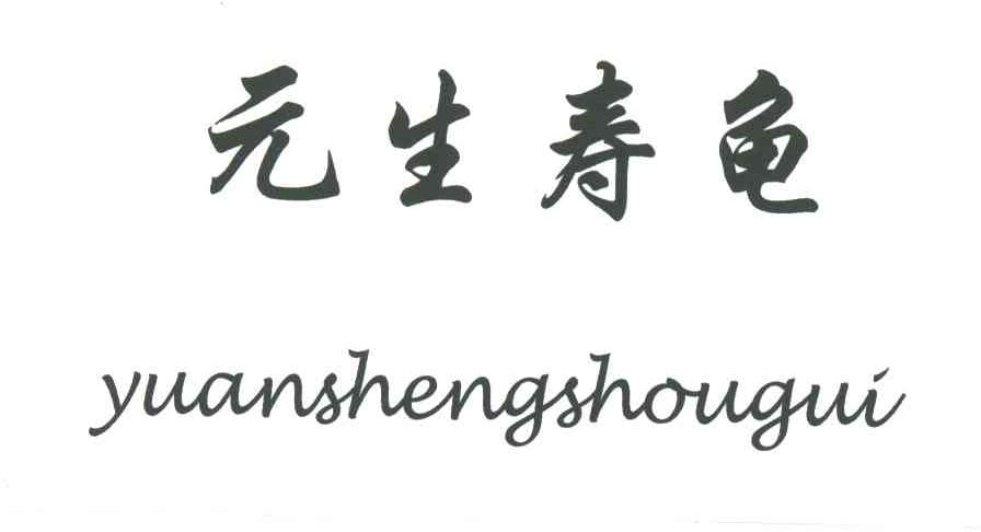 元生寿龟