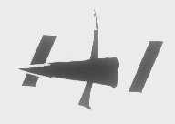 1+1
