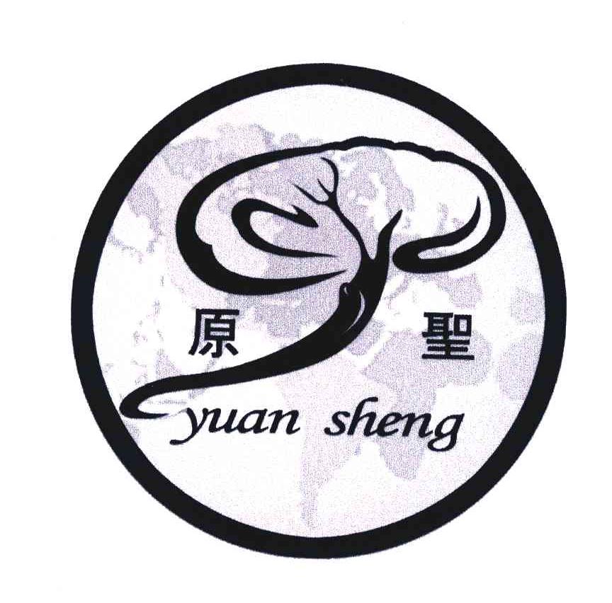 原圣;YUAN SHENG