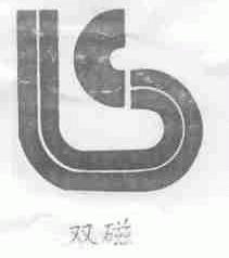 双磁