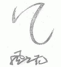 风之花