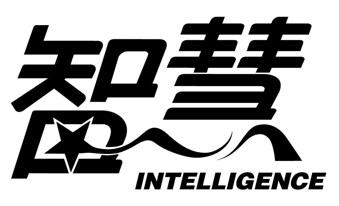 智慧 INTELLIGENCE