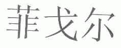菲戈尔