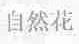 自然花