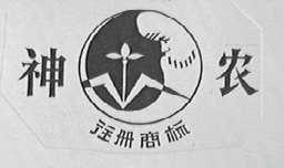 神农