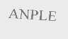 ANPLE