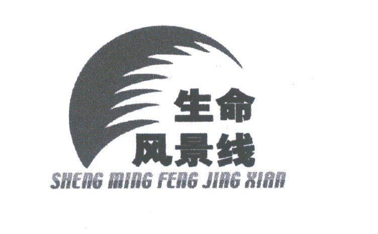 生命风景线