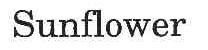 SUNFLOWER
