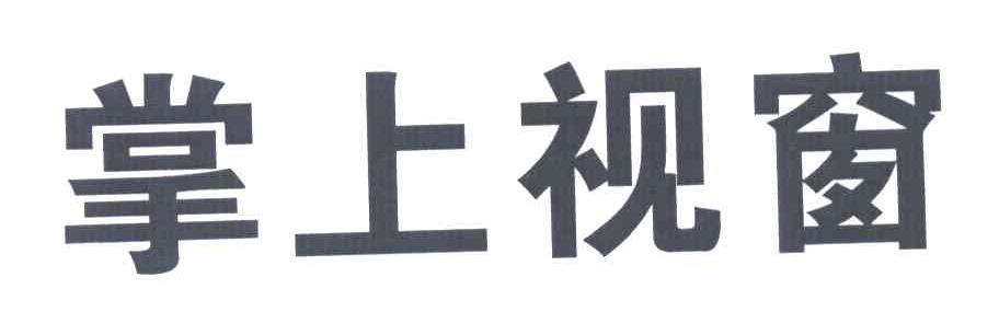 掌上视窗