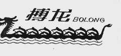 搏龙