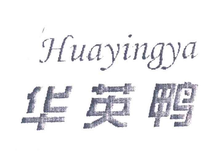华英鸭