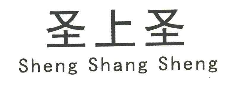 圣上圣