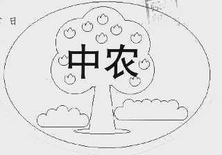中农