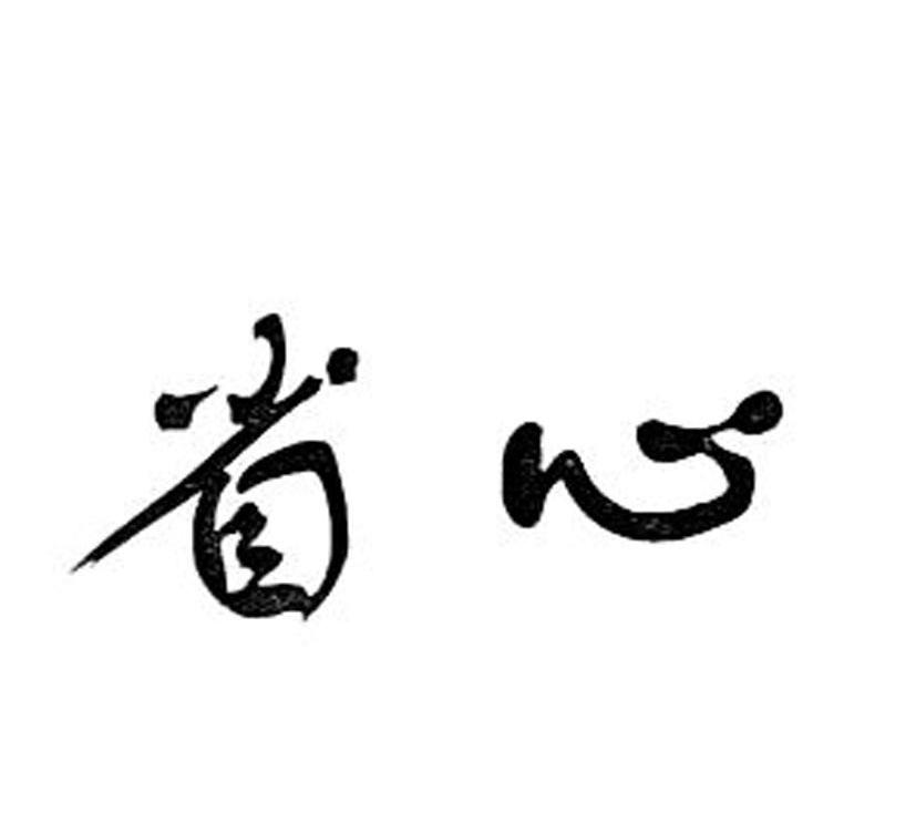 省心