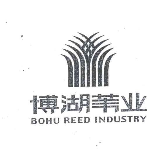 博湖苇业;BOHU