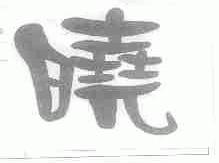 晓