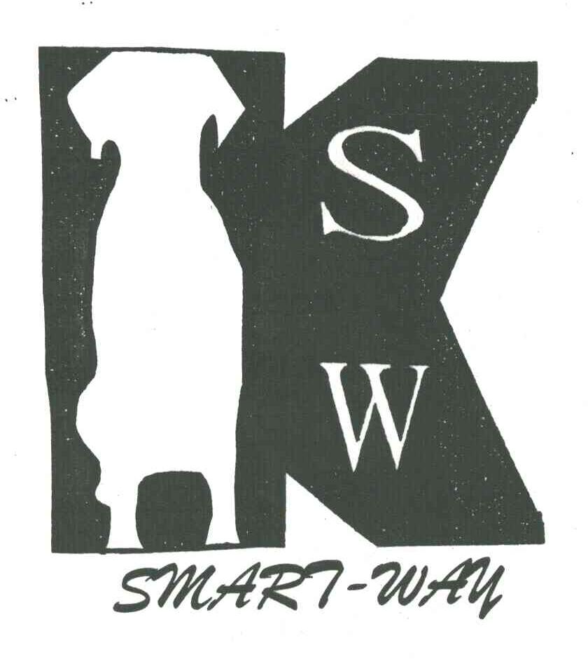 SMART WAY