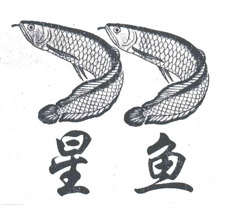 星鱼