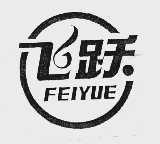 飞跃