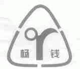 杨钱