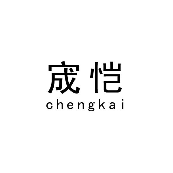 宬恺