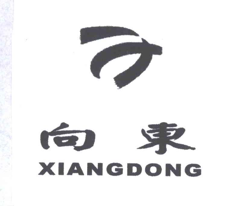 向东