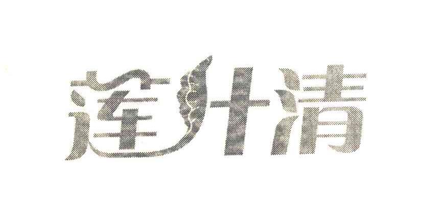 莲叶清