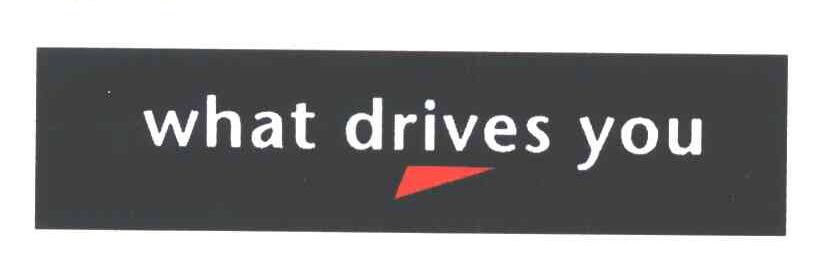 WHAT DRIVES YOU