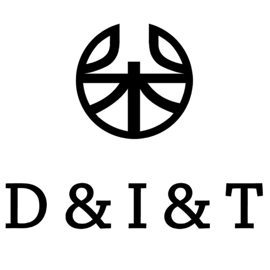 D&I&T
