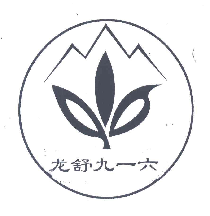 龙舒九一六