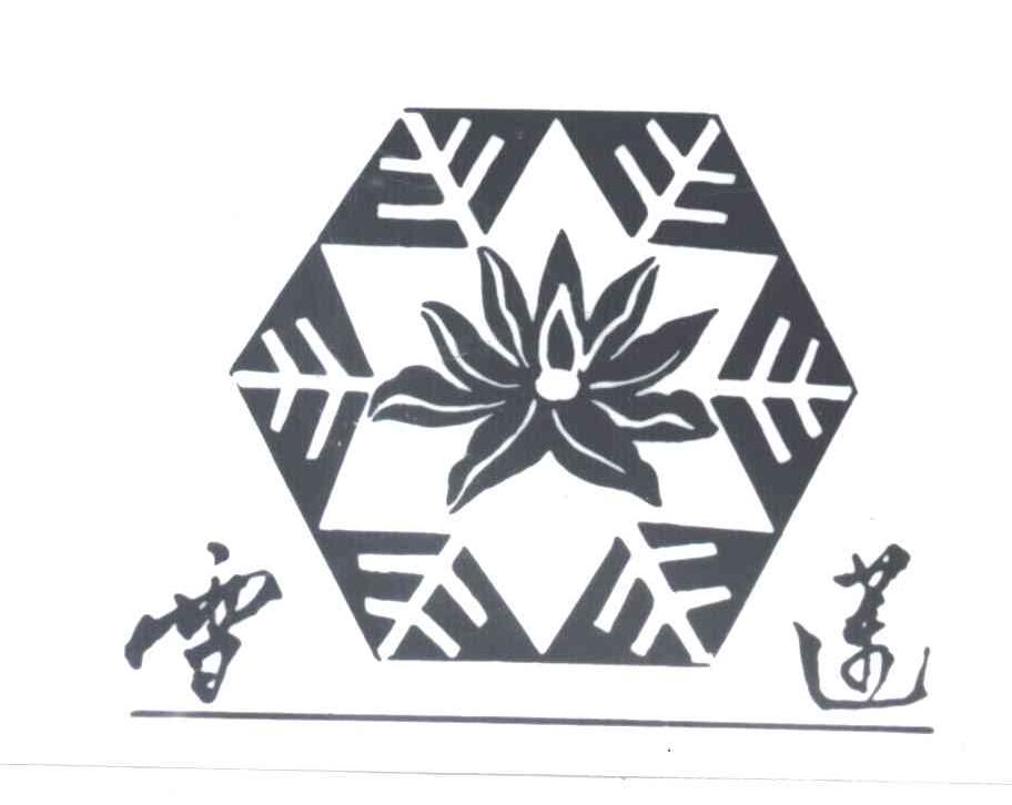 雪莲