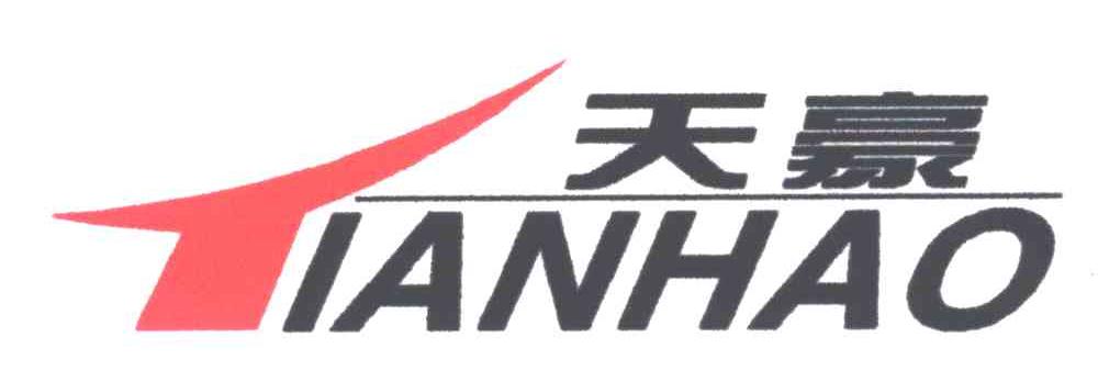 天豪;T