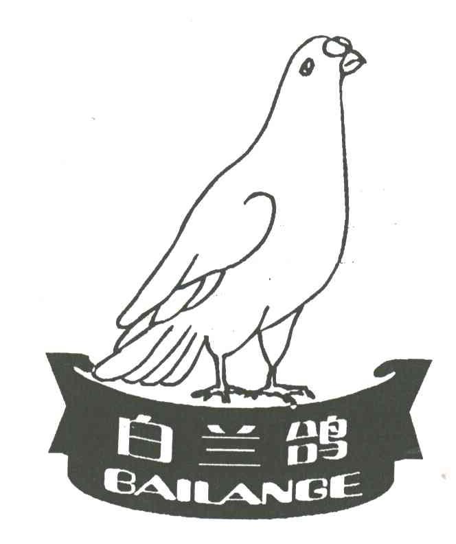 白兰鸽