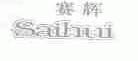 赛辉