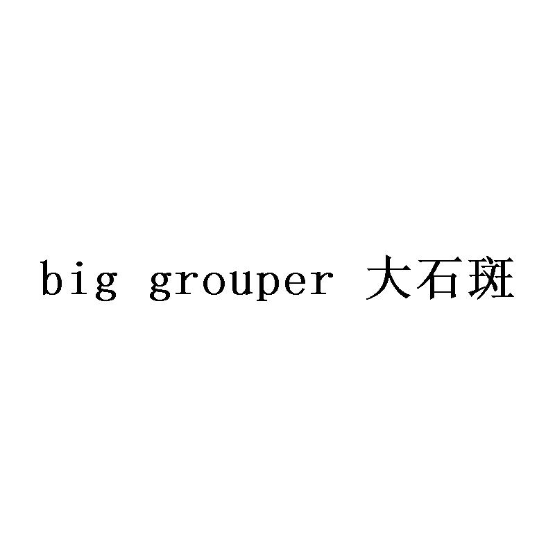 BIG GROUPER 大石斑