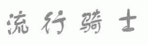 流行骑士