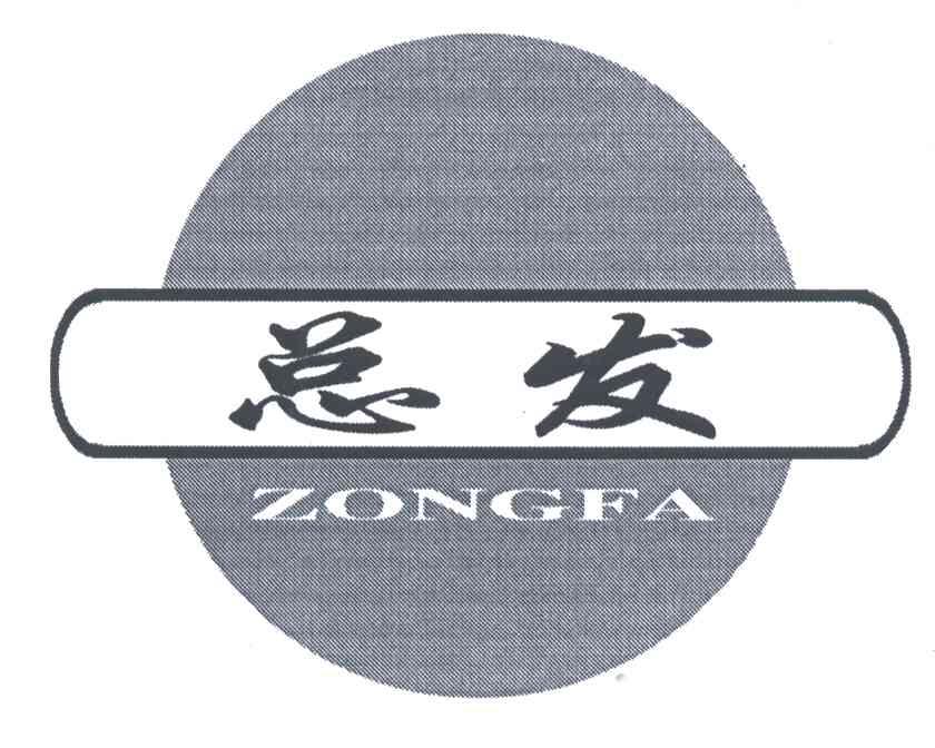 总发