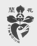 兰花   CRMBIDIUM