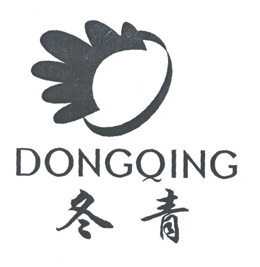 冬青