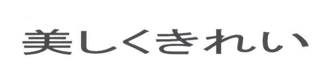 美
