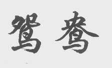 鸳鸯