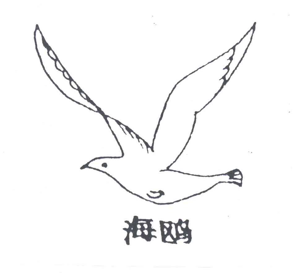 海鸥
