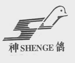神鸽