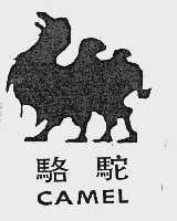 骆驼  CAMEL